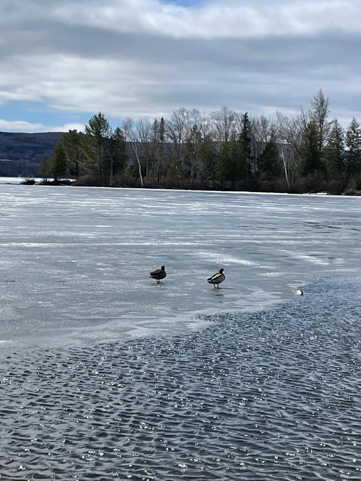 Rangeley Town & Lake エクステリア 写真